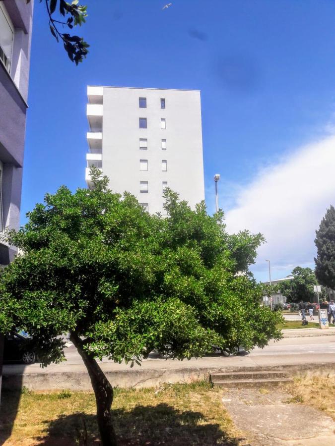Studio Apartman Moonlight Ζαντάρ Εξωτερικό φωτογραφία